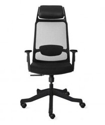 Buy Office Chairs - Amul Polycure